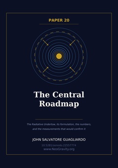 Cover of The Central Roadmap